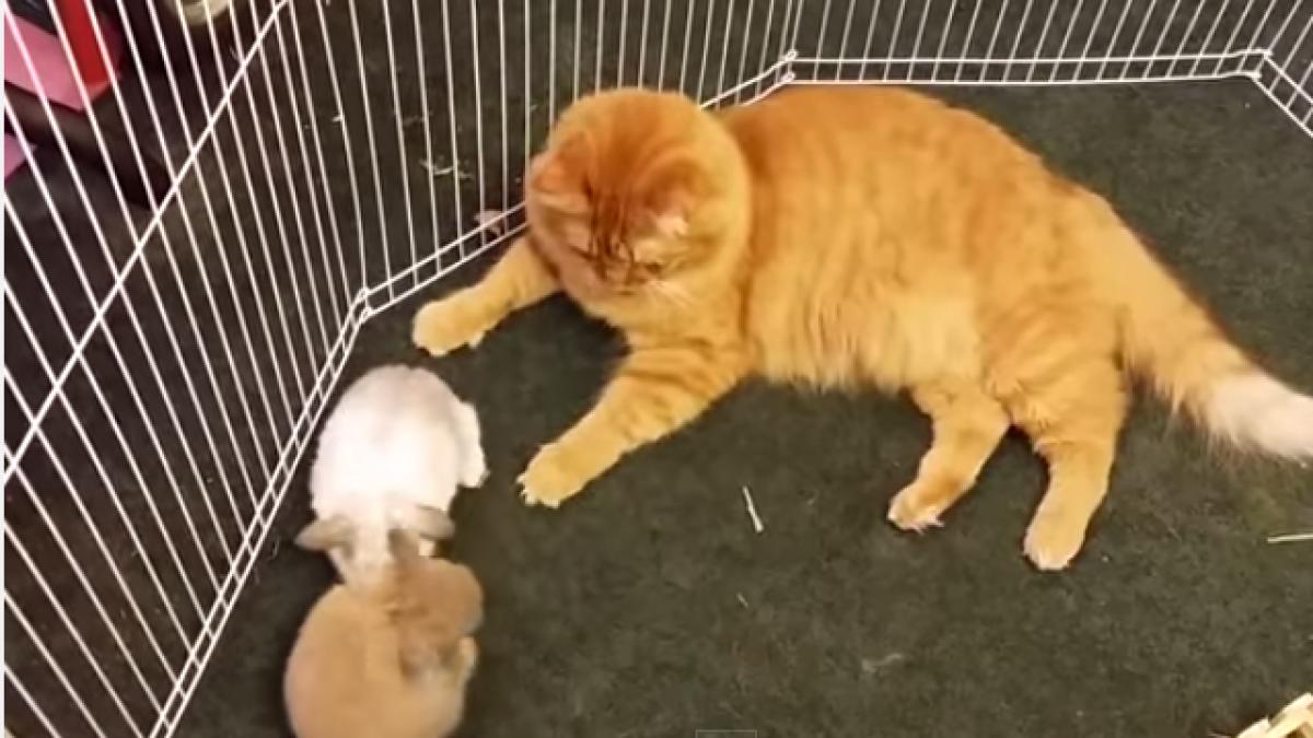 screen_shot_2014_09_29_at_14_38_22_28237400