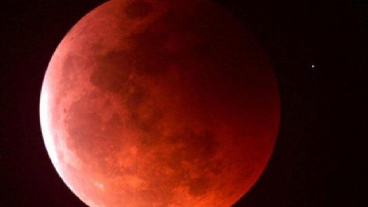 luna_sangerie_60611300