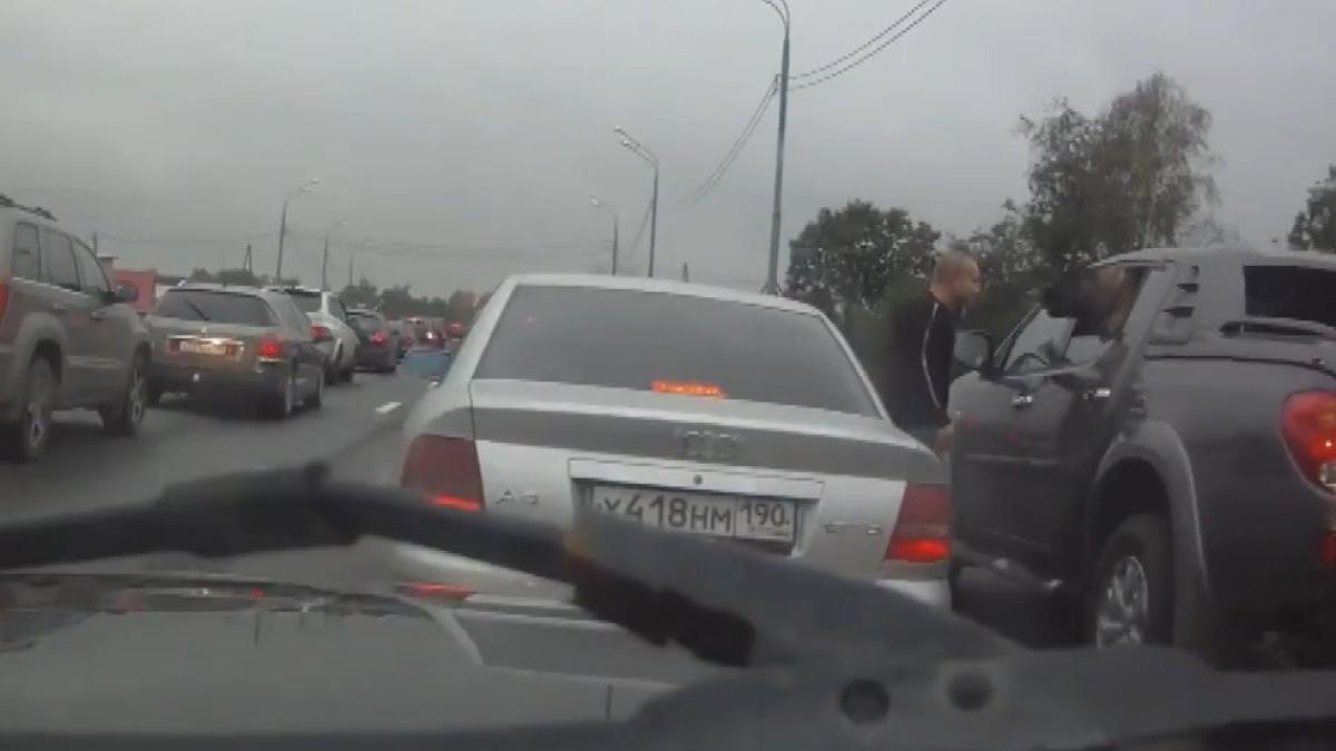 caine_sofer_agresiv_65119800