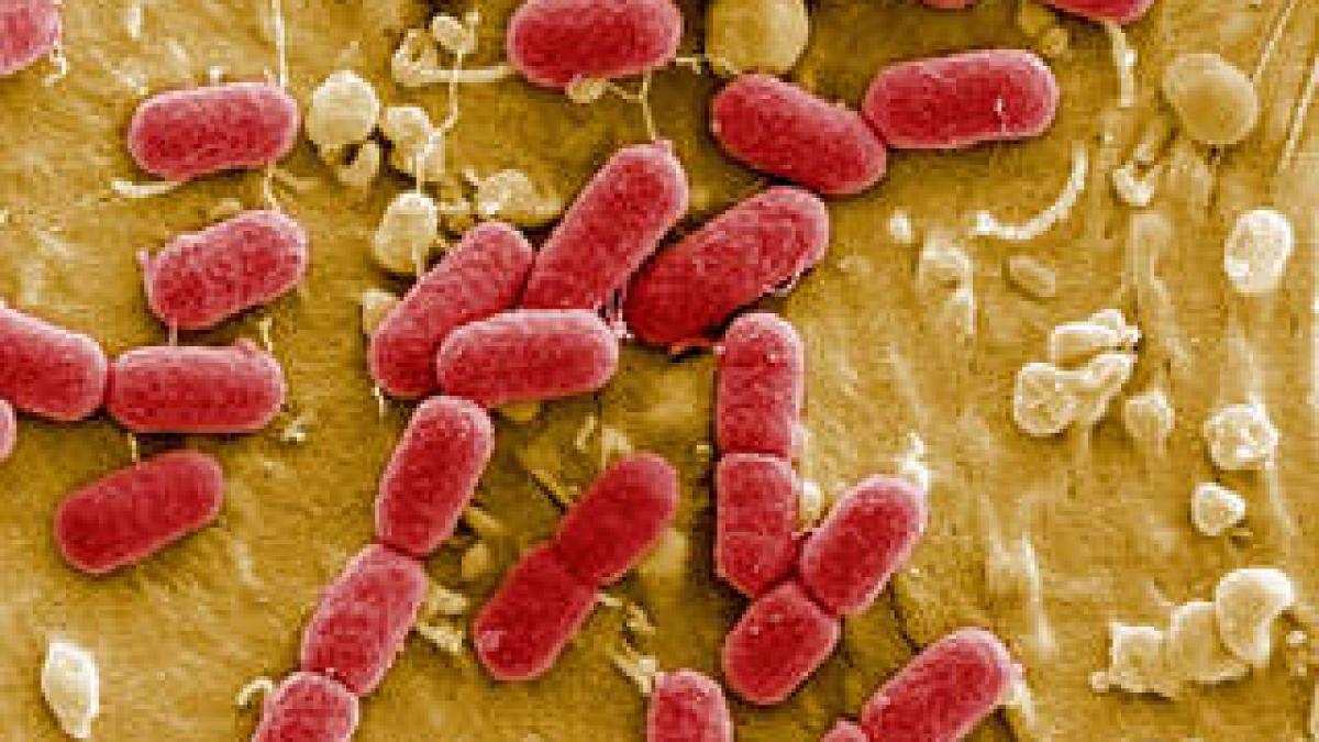 114936549_20120613174339_320_240_80364400