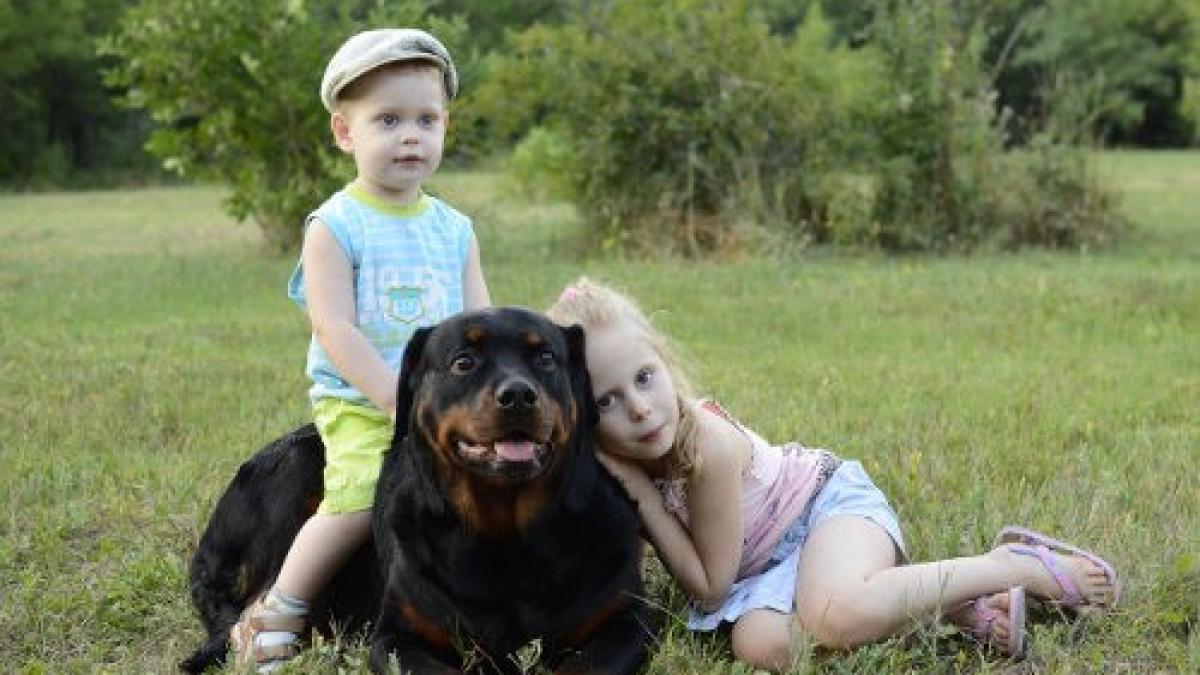 ebola_caine_16360500