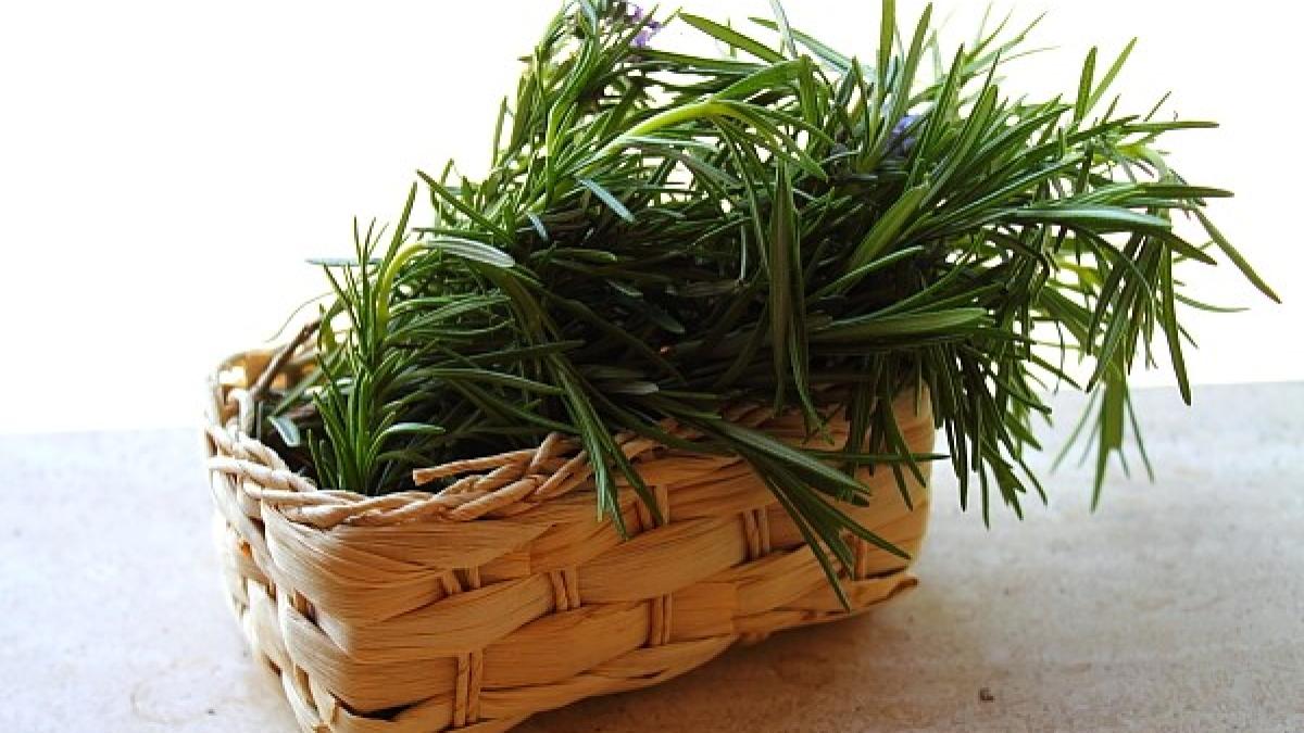 rozmarin_tratament_par_65391700