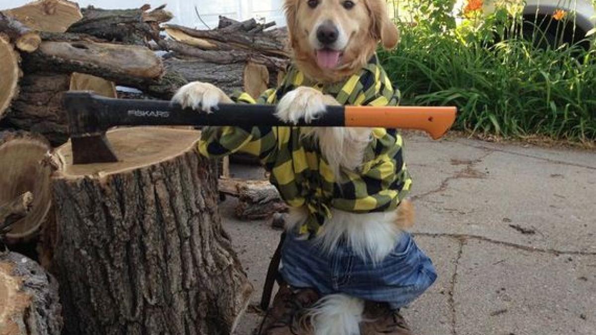 01_have_no_idea_what_im_doing_07665400