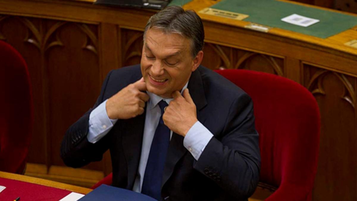 orban_sua_41037200