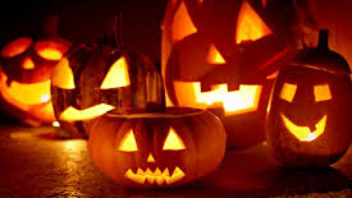 dovleci_halloween_69190600