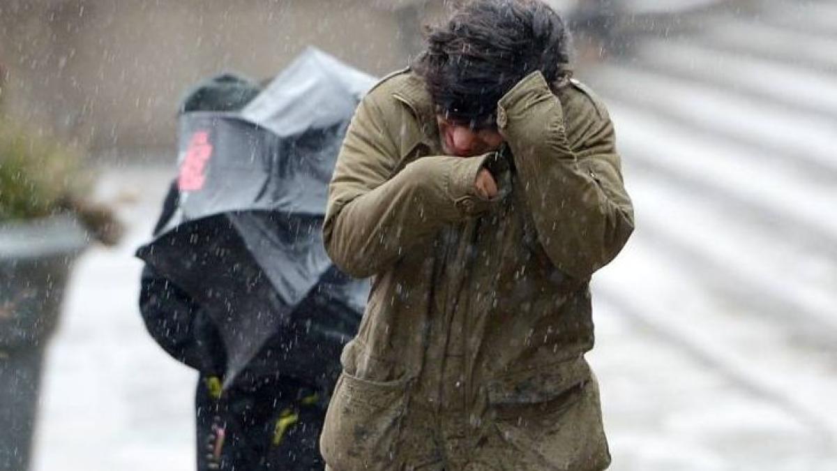 vant_puternic_69012800