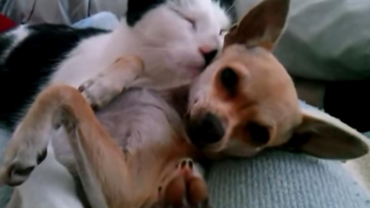 screen_shot_2014_10_24_at_13_04_28_12364200