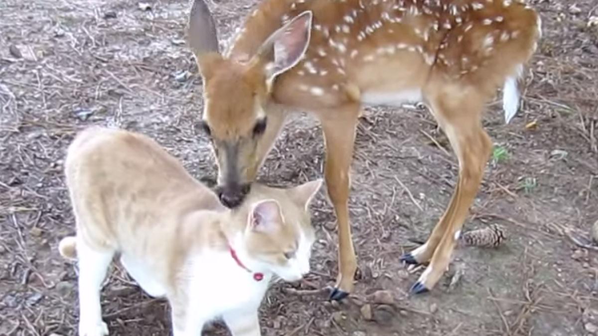 screen_shot_2014_10_24_at_12_49_08_58584000