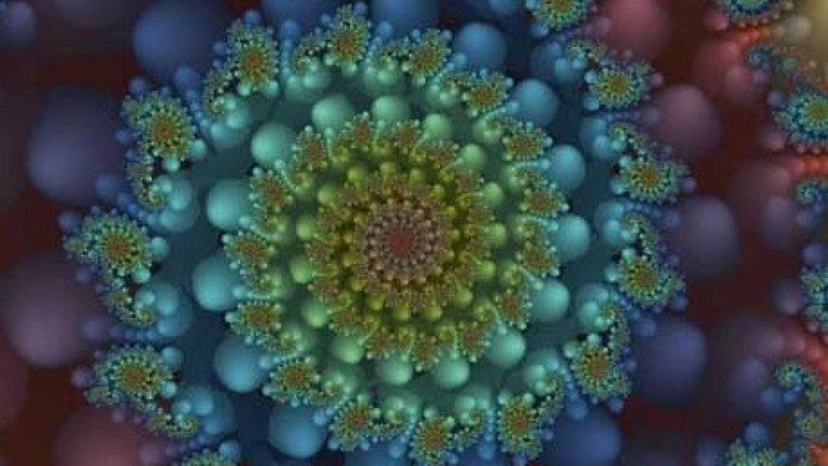 magic_mushroom_effectswerww_23152400