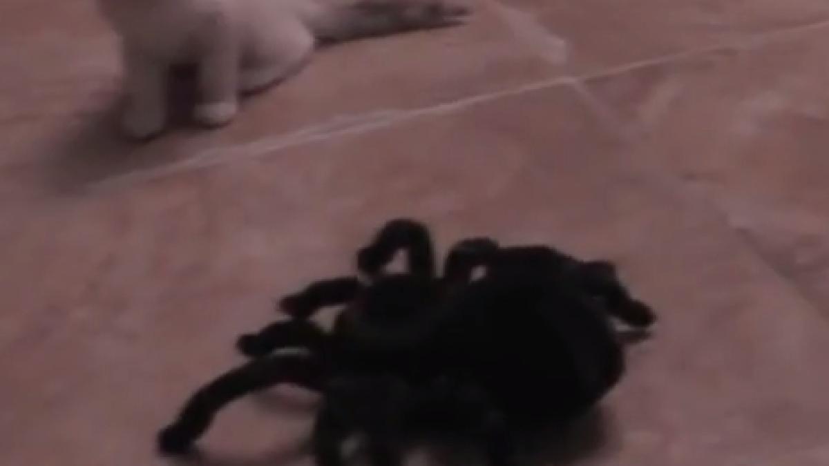 screen_shot_2014_11_02_at_16_45_17_19951300