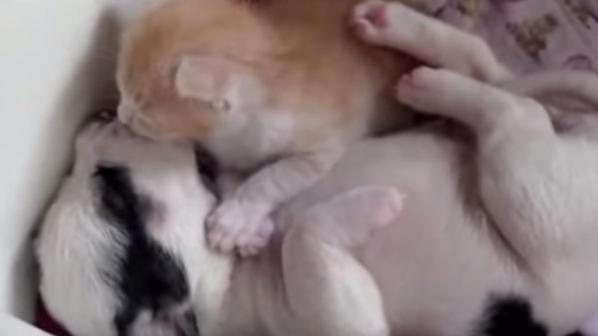 screen_shot_2014_11_06_at_14_52_48_11184500