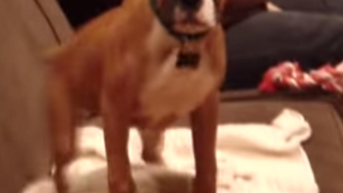 screen_shot_2014_11_06_at_16_03_58_07887000