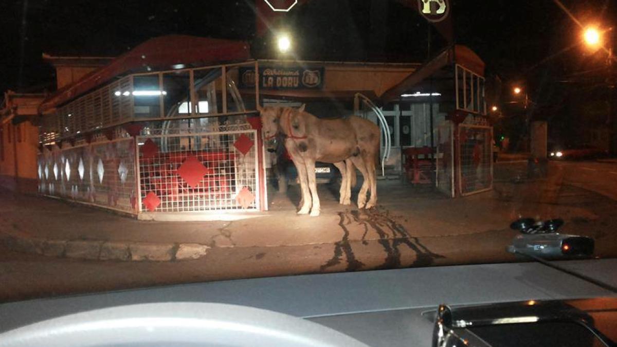 screen_shot_2014_11_14_at_4_23_30_pm_11895000