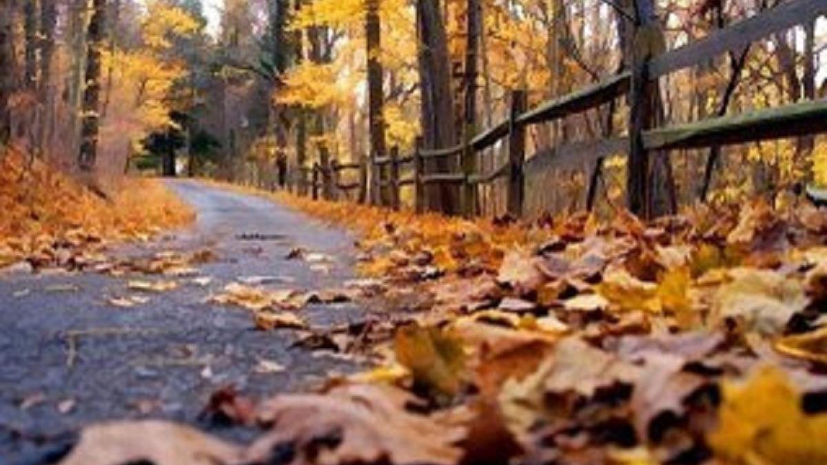 vreme_toamna_26730800