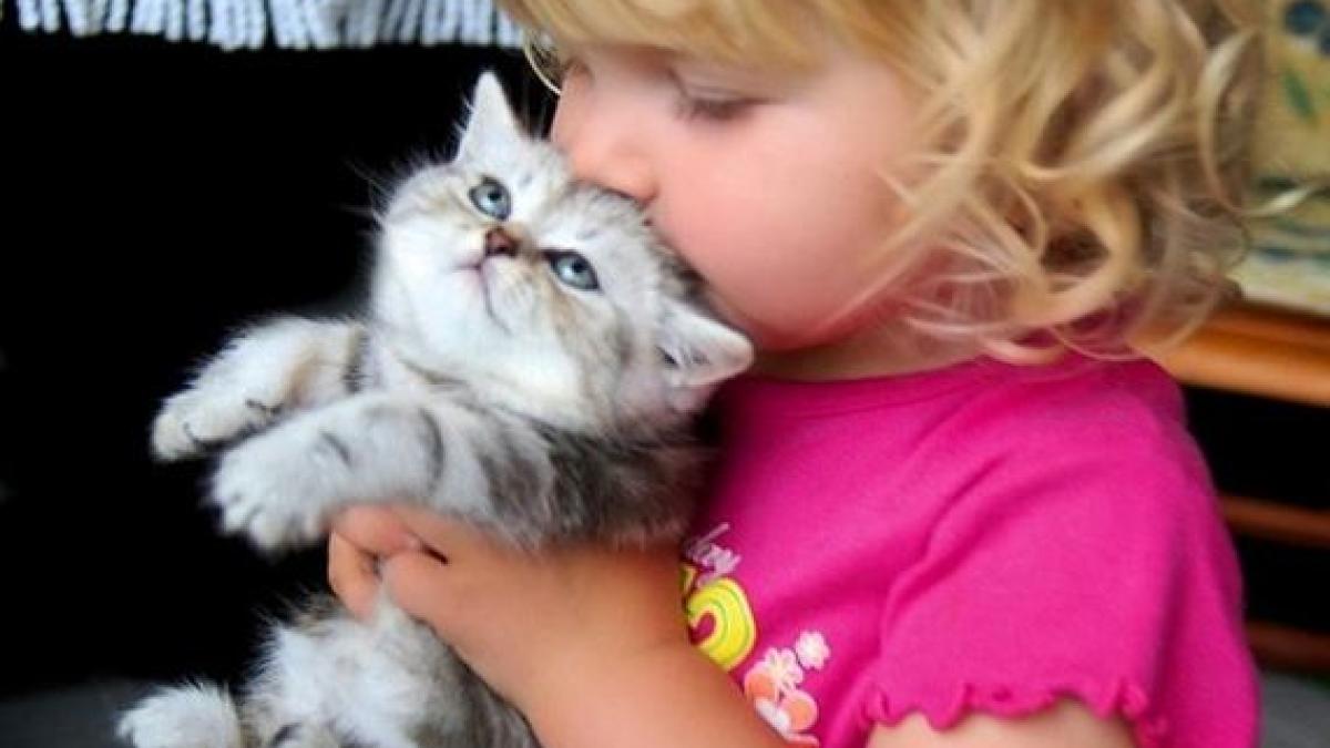 01_tops_cats_kids_32371200