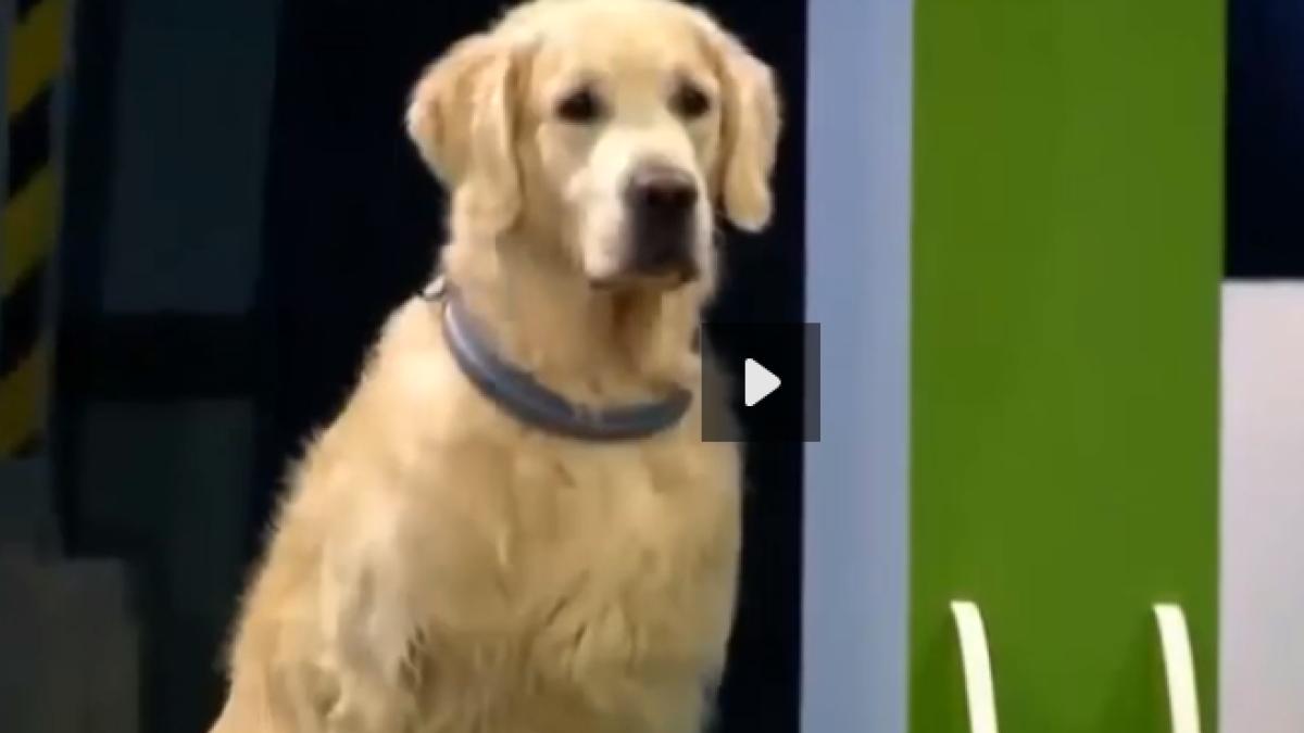 screen_shot_2014_11_17_at_11_49_28_pm_87970000