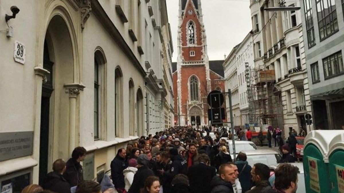 viena_coada_68282800