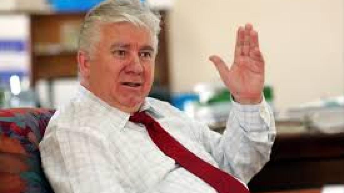 culita_tarata_14523800