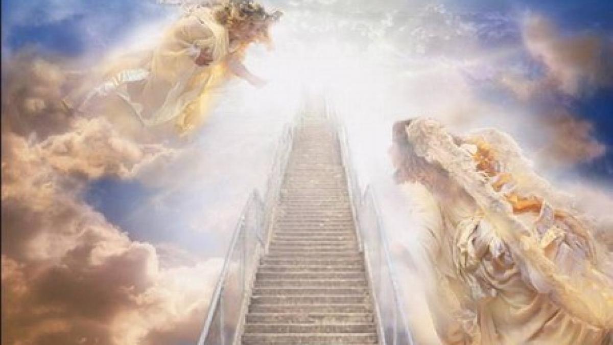 poarta_raiului_08535500