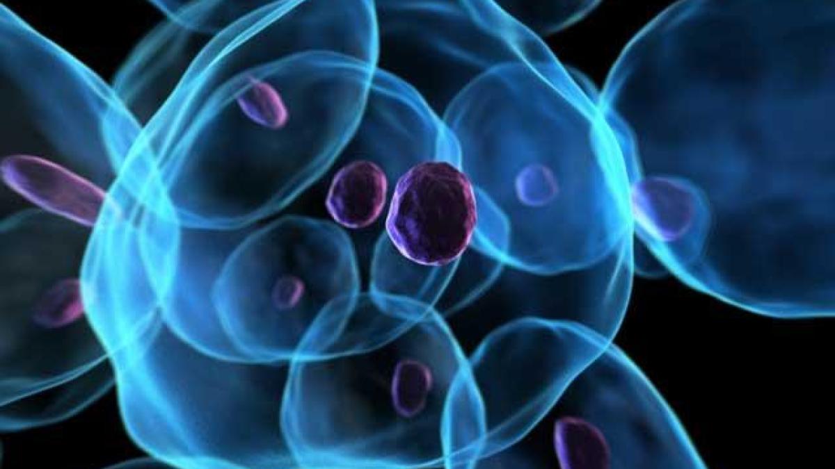 un_nou_medicament_contra_cancerului_testat_acum_pe_pacienti_francezi_7057576_47009600