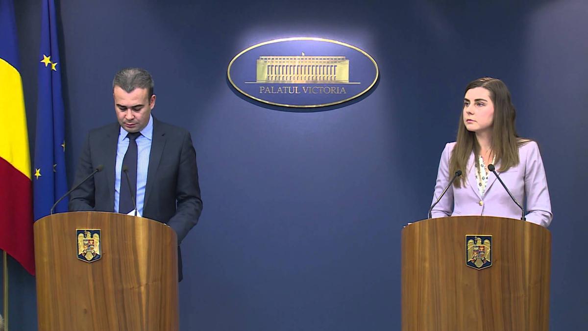 valcov_petrescu2_36708000