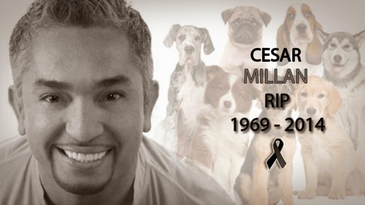 cesar_millan_58821500