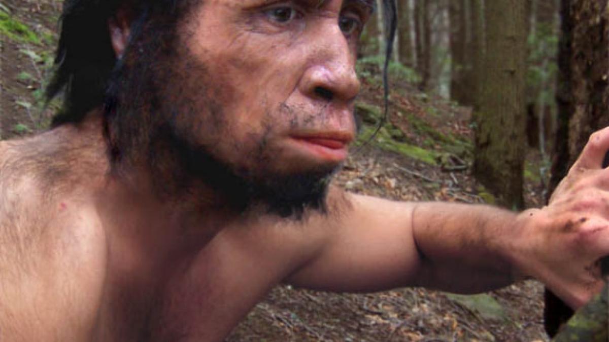 homo_erectus_33169000