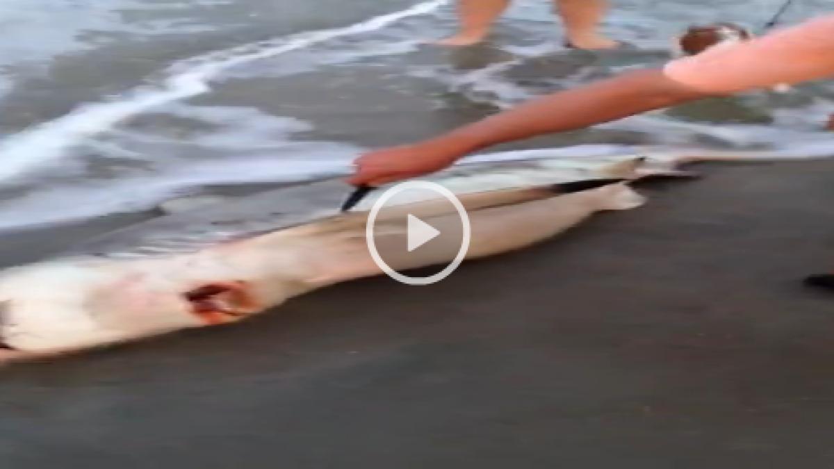 screen_shot_2014_12_05_at_8_11_41_pm_27260300