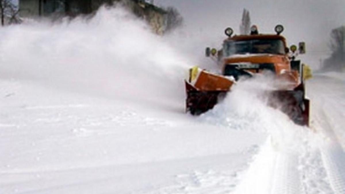 utilaje_deszapezire_4_b_13927900