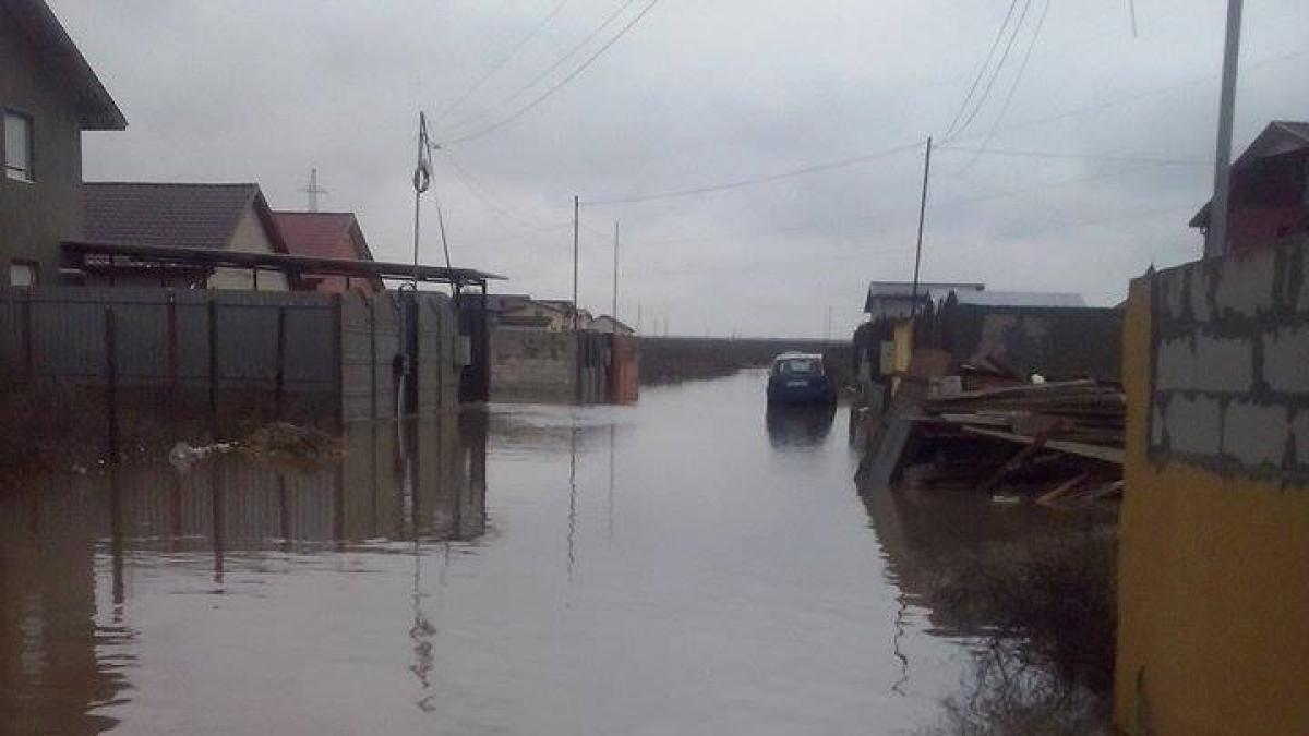 pantelimon_04_71098600_81213700