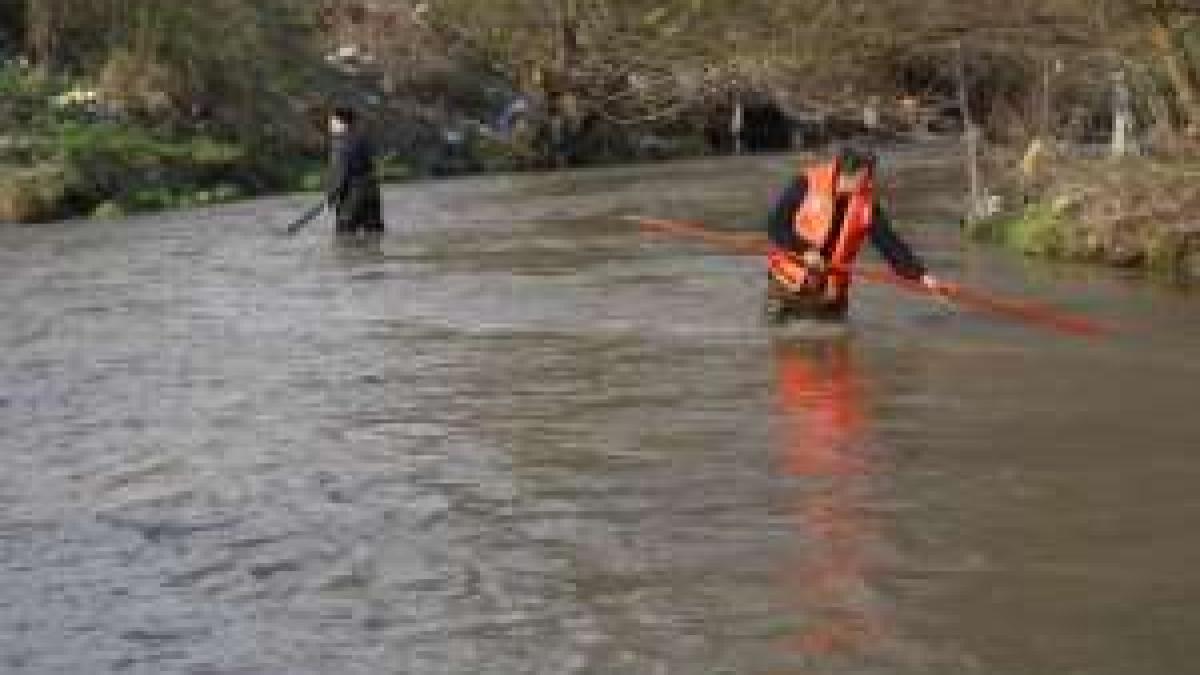 inecat_images_poze_decembrie2014_thumb_medium300_250_94361100