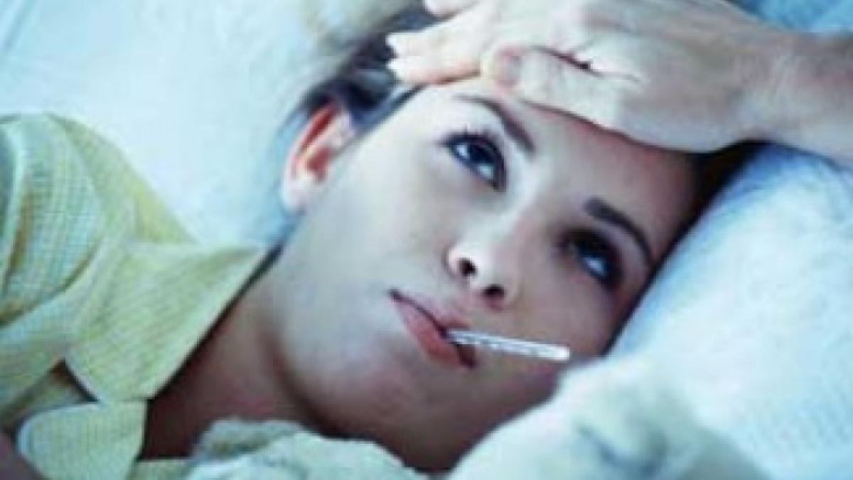 febra_febra_febra_66736800_35950200