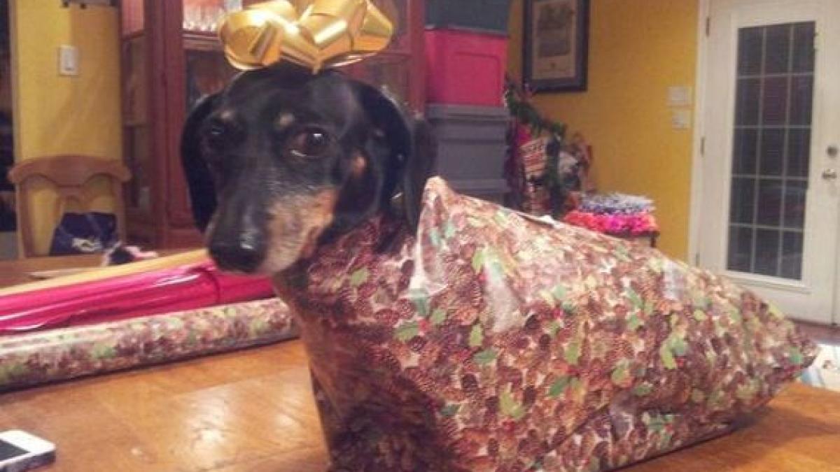 01_christmas_cheer_59481300