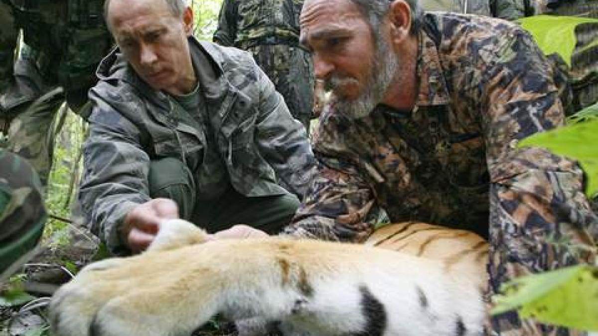 82611835_1_480x360_95588800