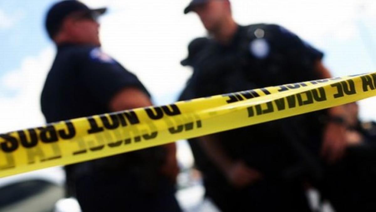 13835512254de7670d_44992700