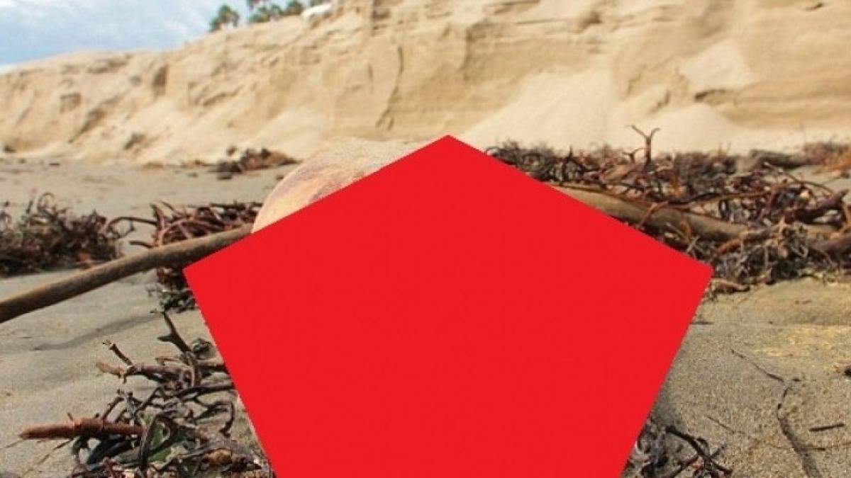 241b307600000578_2877048_image_a_21_1418793519166_ceny_45960400_42235000