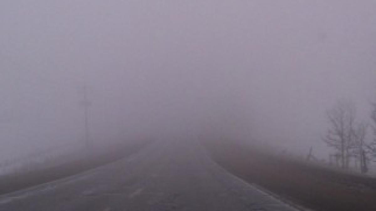 ceata1352792564-1357120791