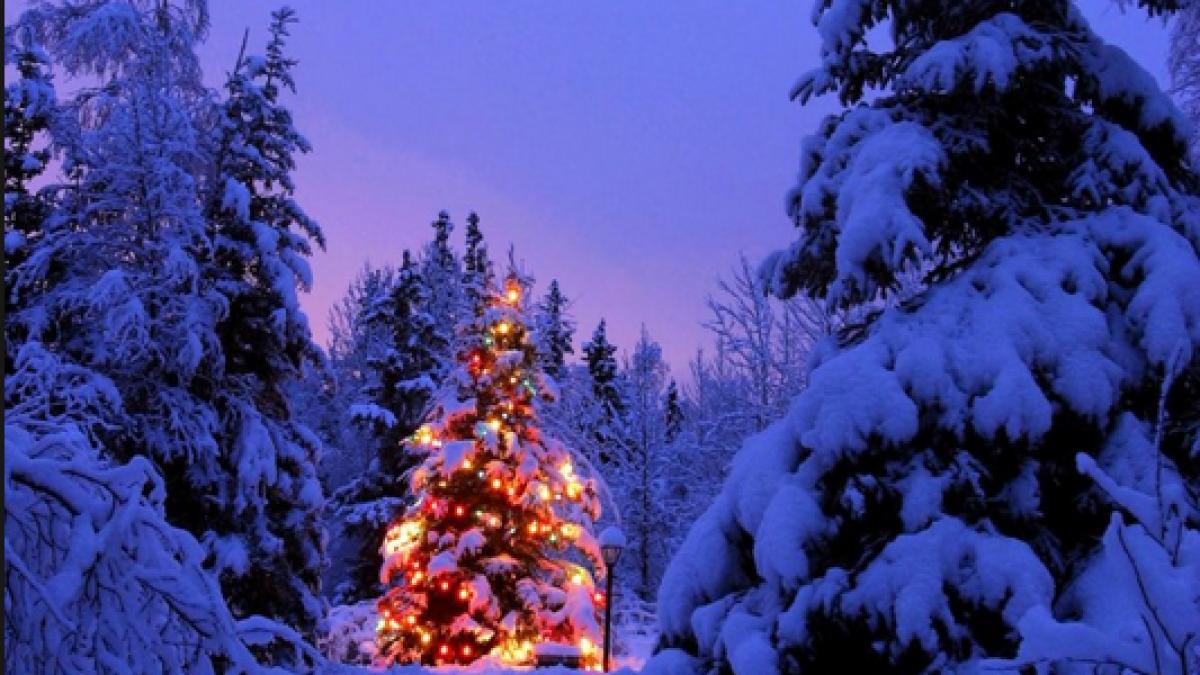 screen_shot_2014_12_24_at_12_29_07_am_36935100