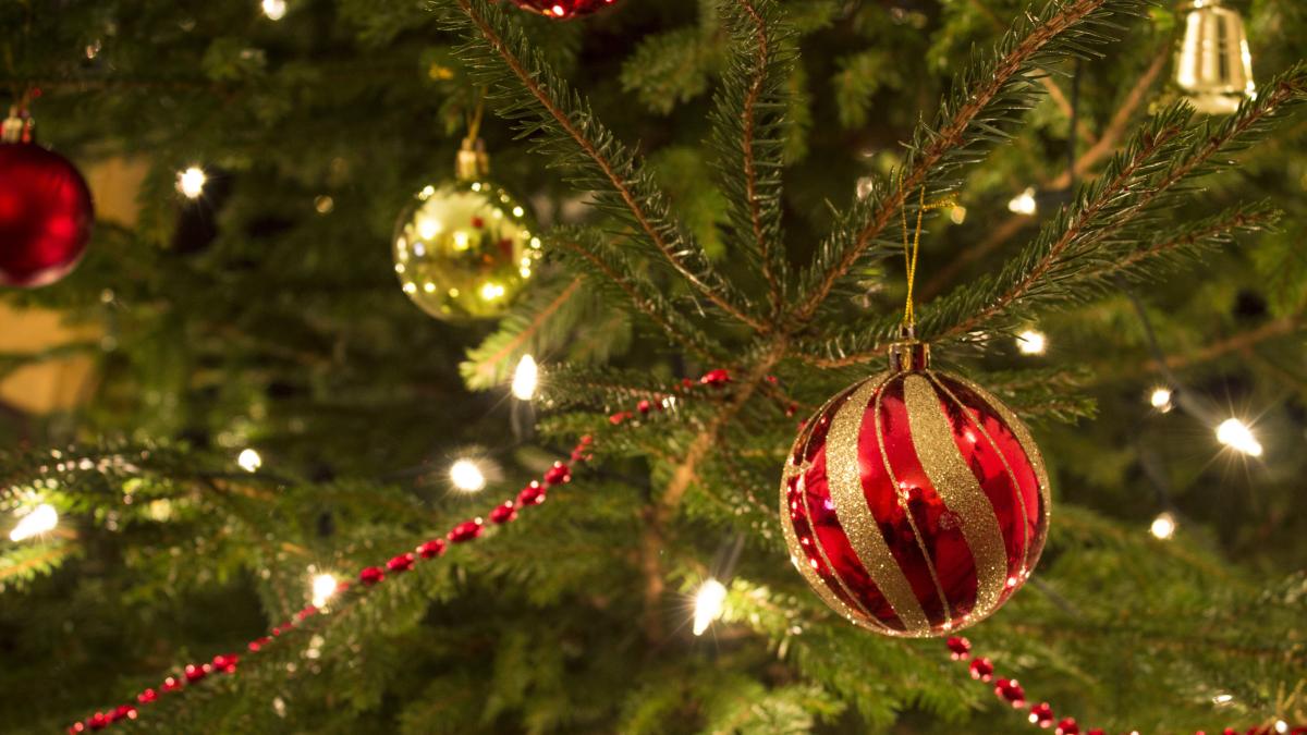 xmas_tree_generic_55276500