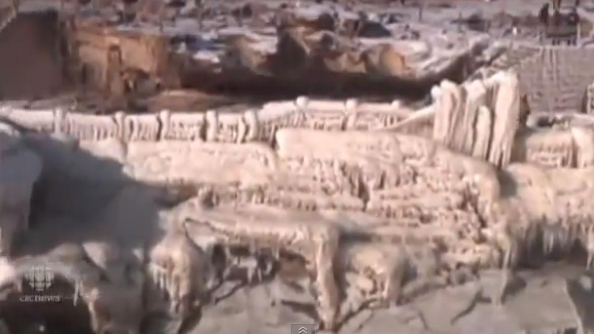 screen_shot_2014_12_24_at_12_46_32_pm_75502800