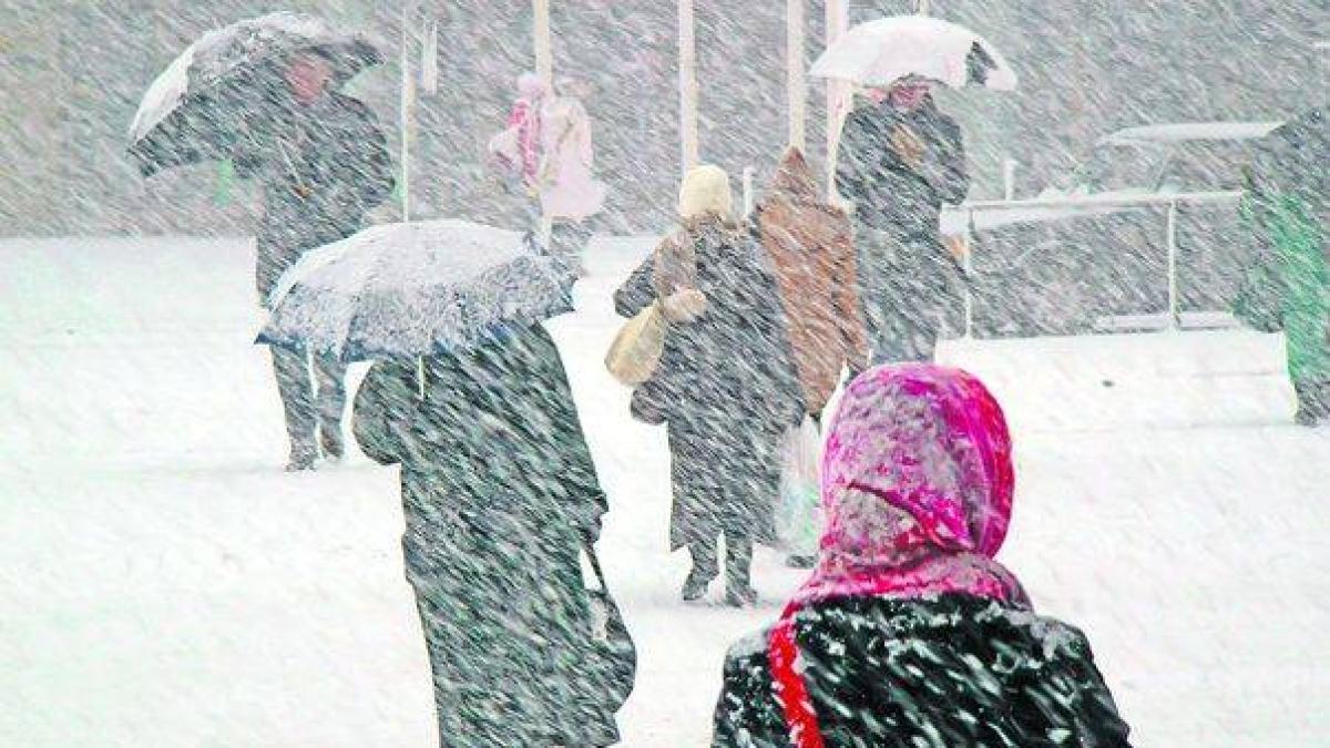 zapada_28_b9dd0ed0cf_45120800