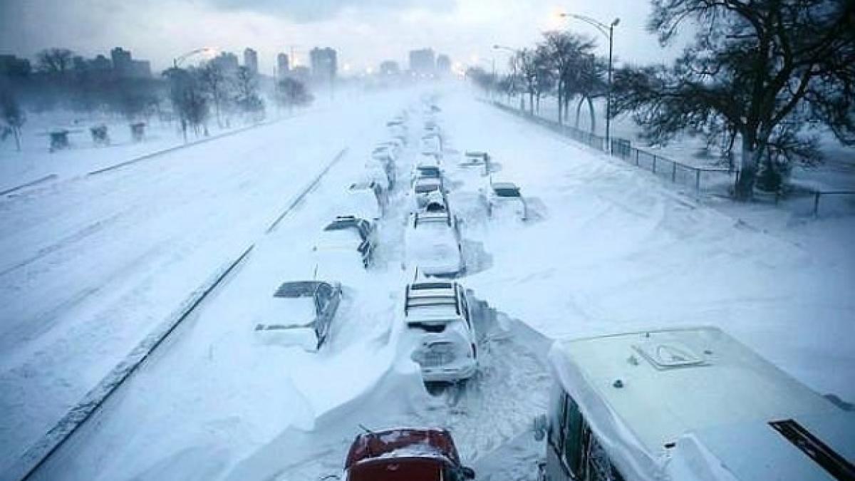 cod_rosu_viscol_94314200