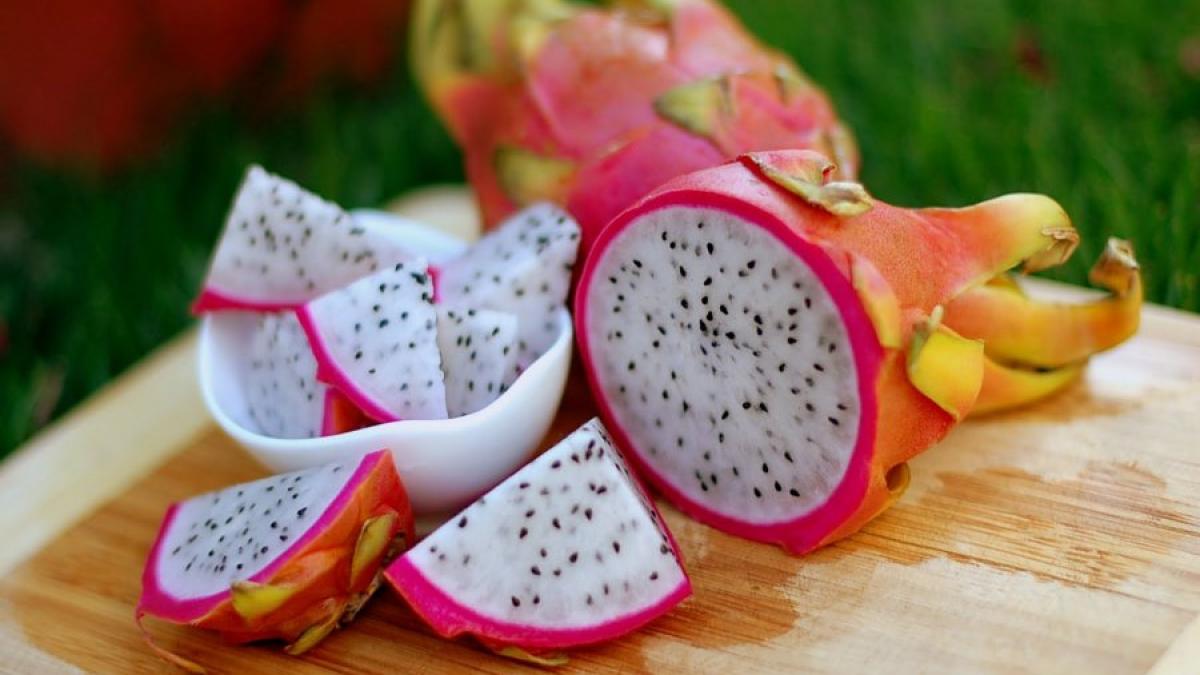 fructul_dragonului_63528600