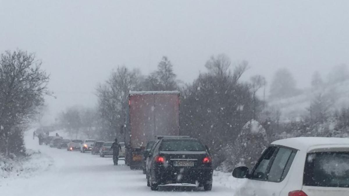 zapada_drum_15157500