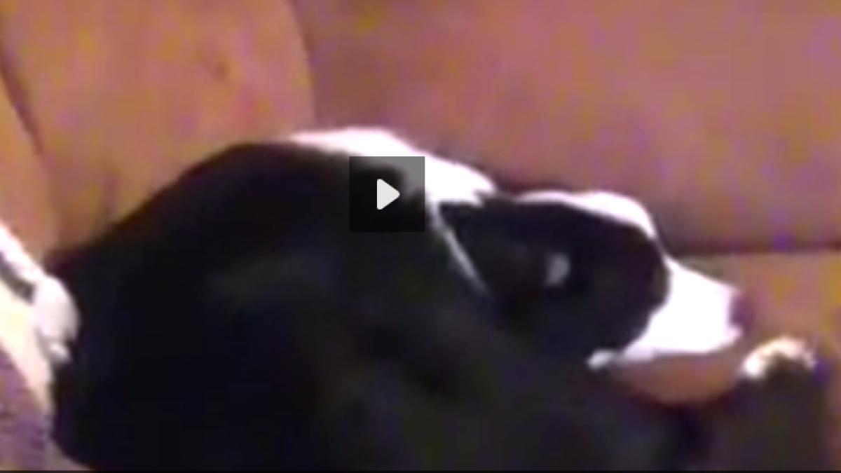 screen_shot_2014_12_30_at_8_21_23_pm_34340300