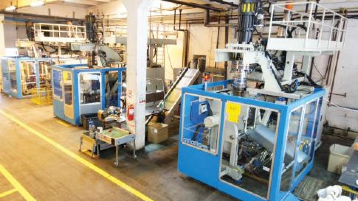 plastor_poza_1_55867400