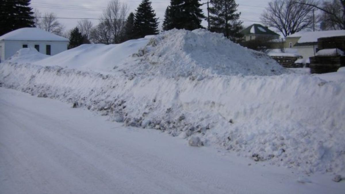 1329202853a1_75837000