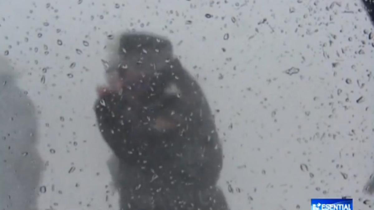 screen_shot_2014_12_31_at_6_06_03_pm_12959200