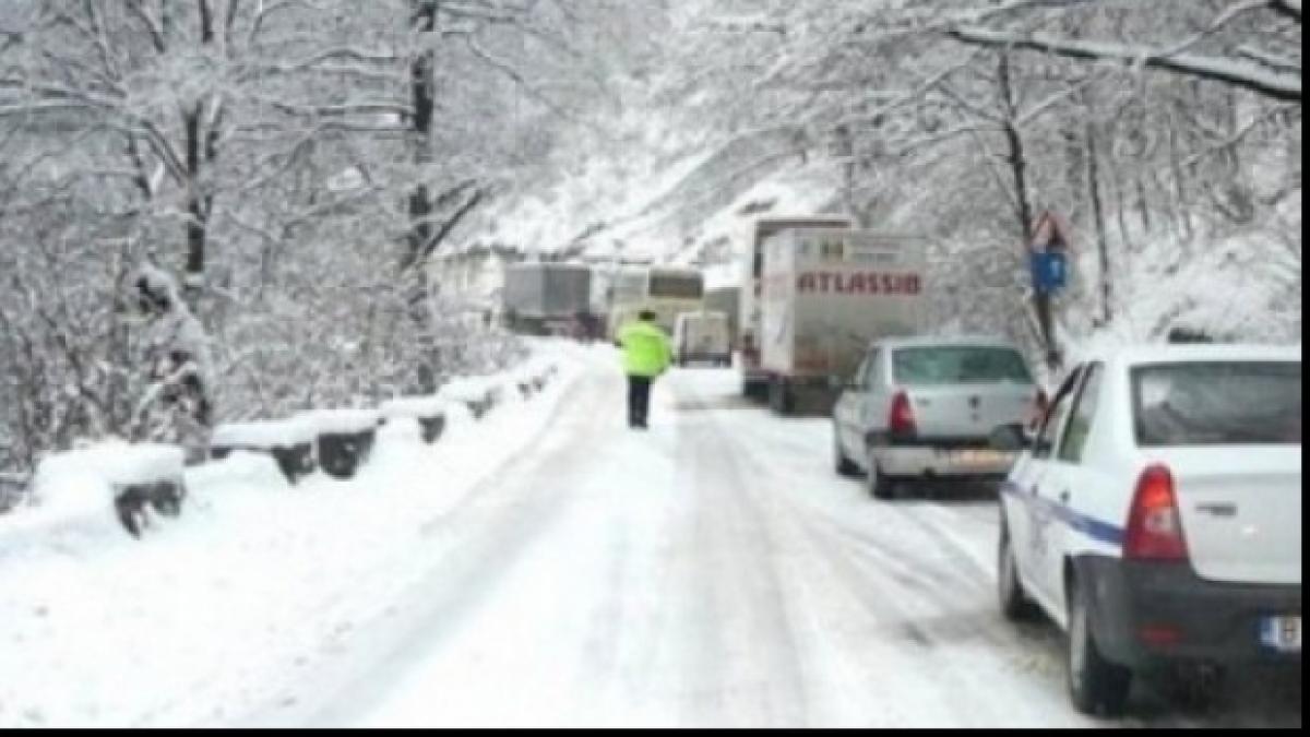 iarna_5676432_20147400_02518600