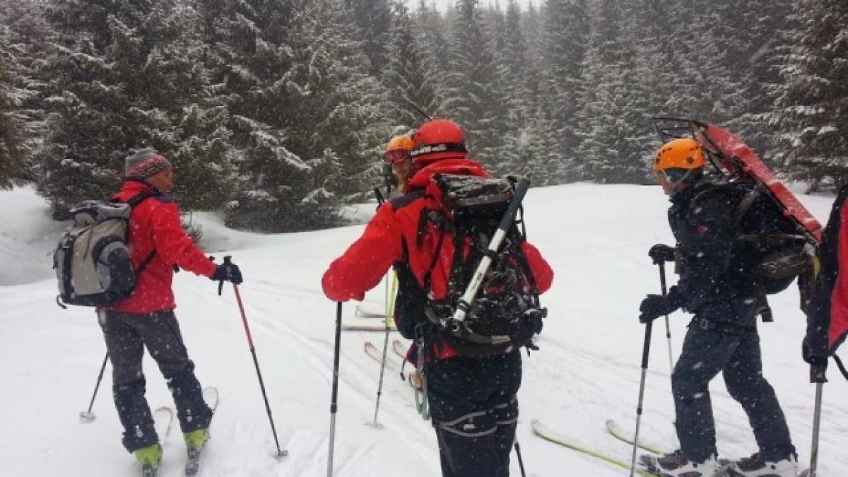 gethumb_details_php_18163700